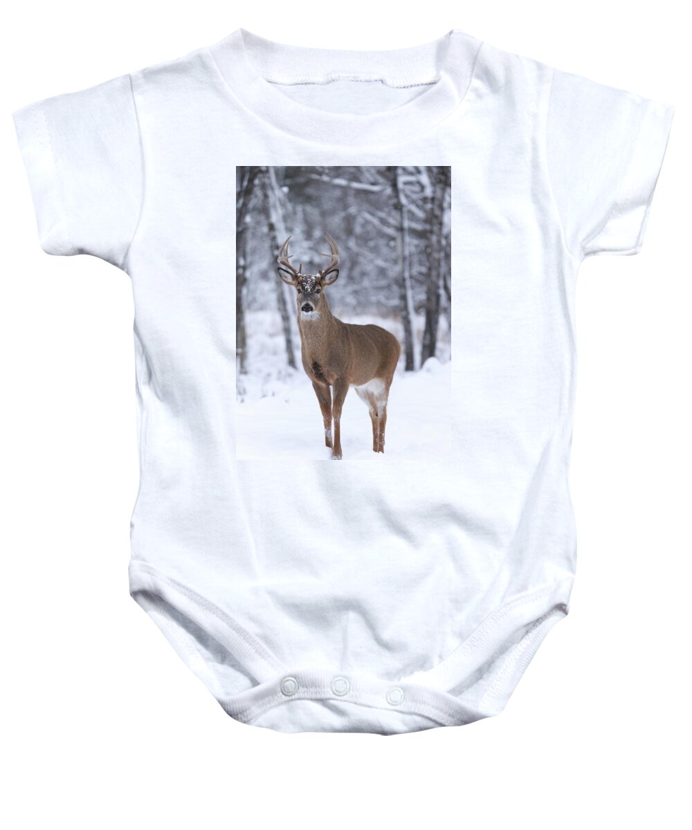 Whitetail Baby Onesie featuring the photograph Whitetail Buck #58 by Brook Burling