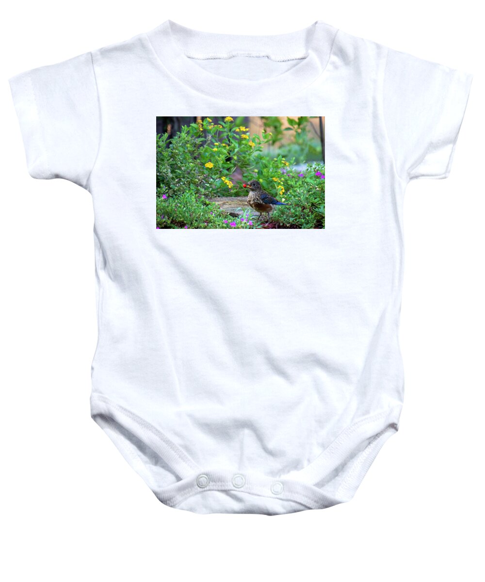 Bluebird Baby Onesie featuring the photograph A Berry Good Morning by Mary Buck