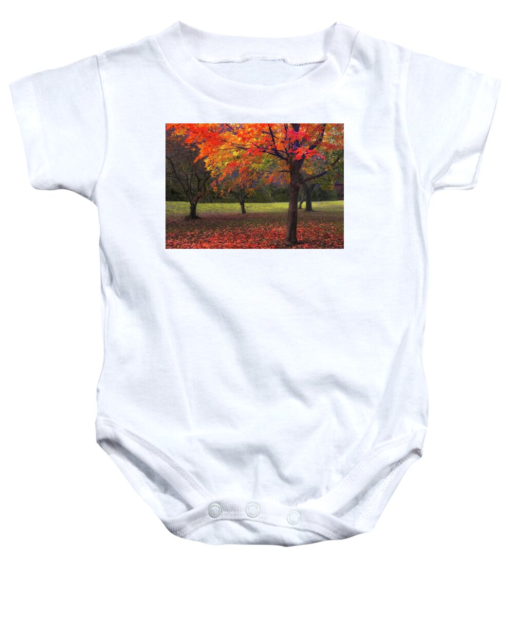 Autumn Baby Onesie featuring the photograph Ablaze in Autumn by Jessica Jenney