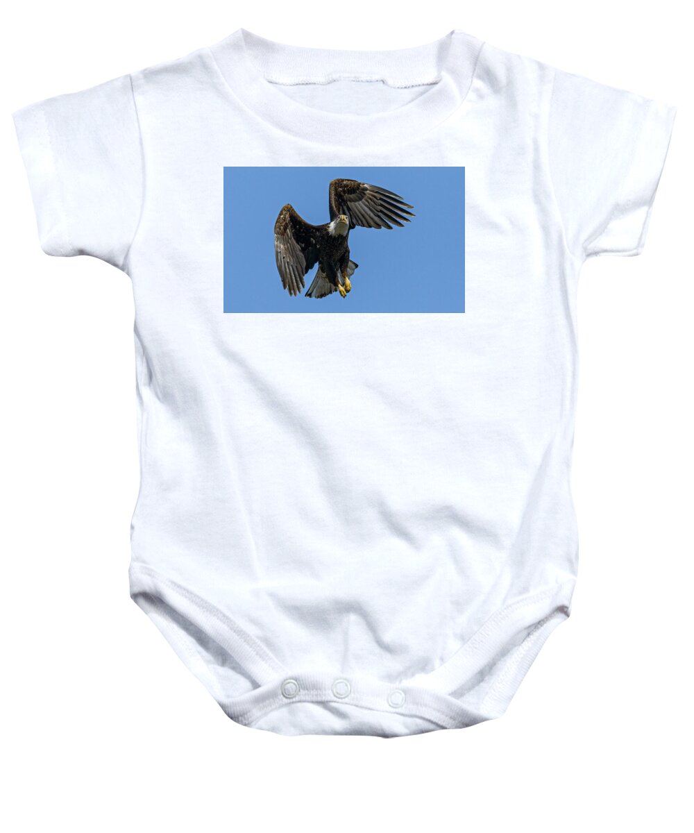 Raptor Baby Onesie featuring the photograph American Bald Eagle 6 by Rick Mosher