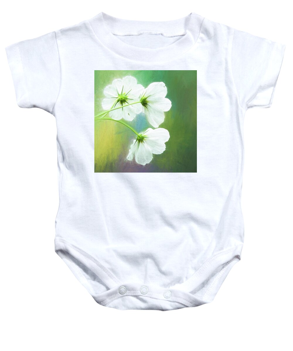Colors Baby Onesie featuring the photograph Painted Cosmos Trio by Anita Pollak