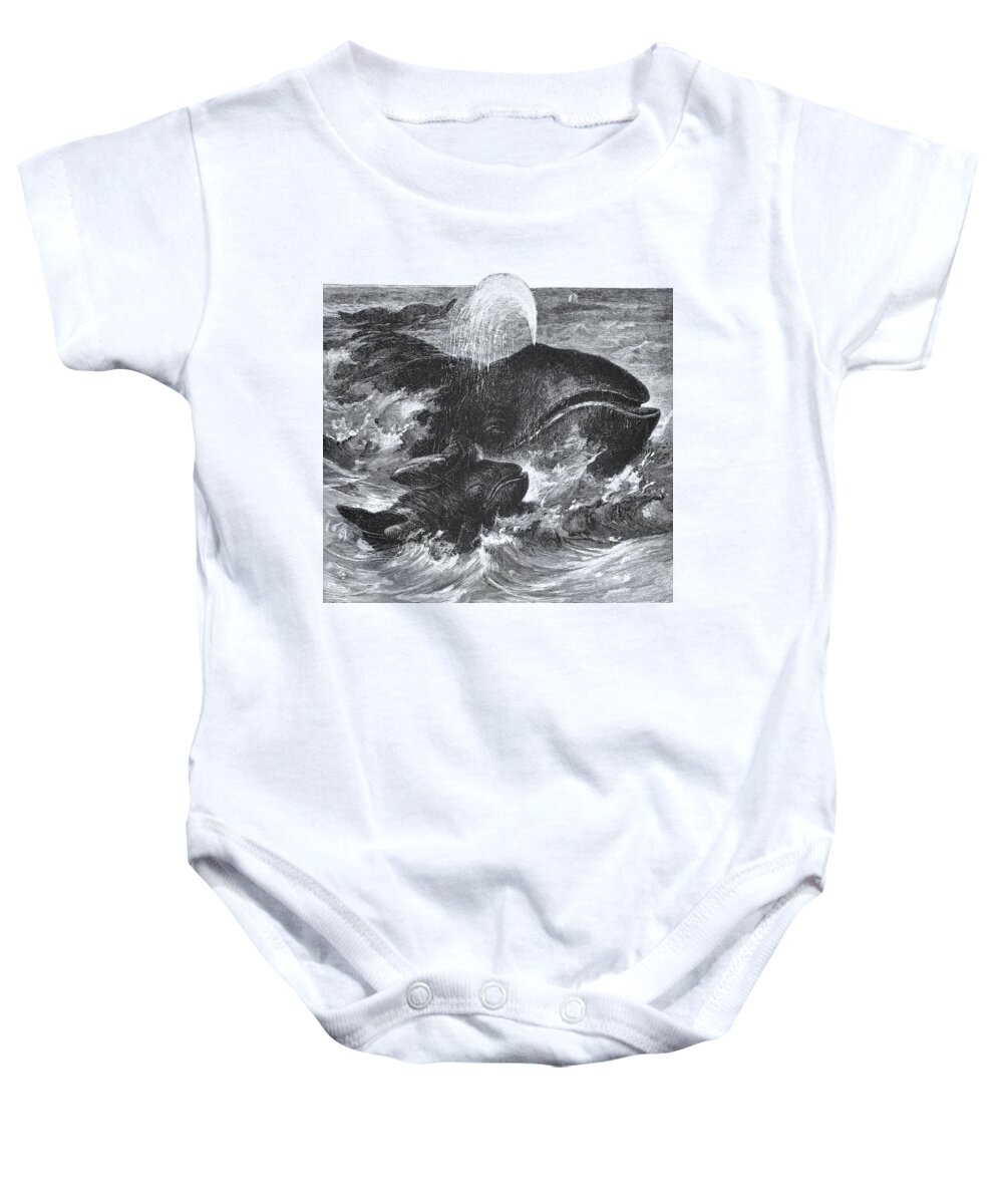 Whale Baby Onesie featuring the digital art Mommy and Me by Madame Memento