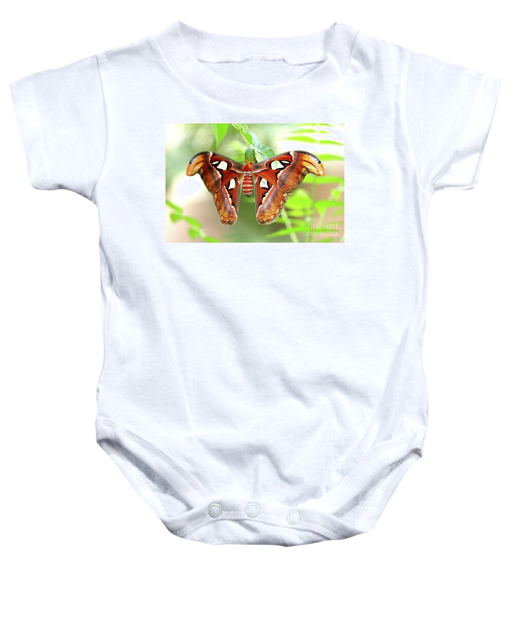 Attacus Baby Onesie featuring the photograph Attacus atlas by Frederic Bourrigaud