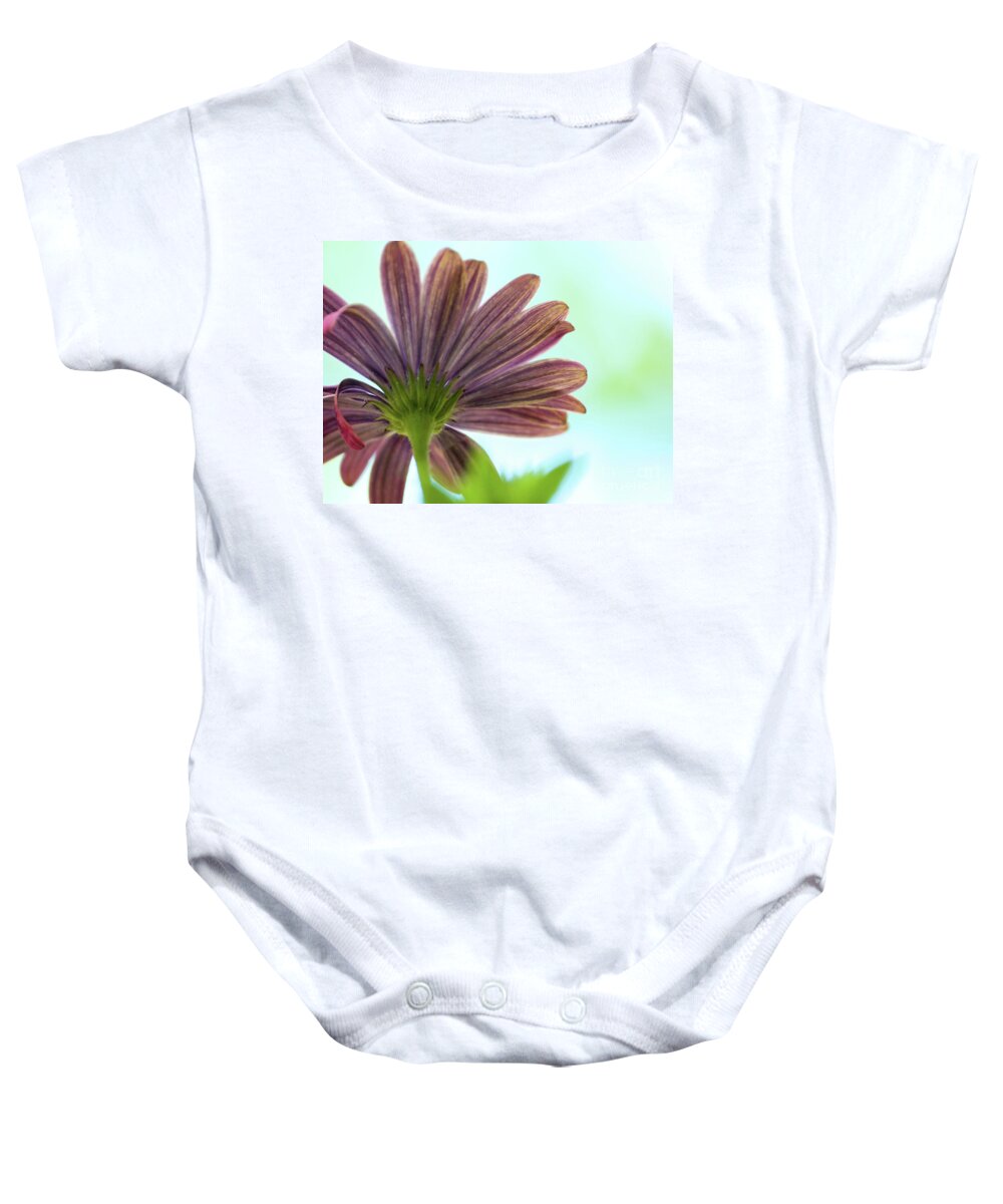 Color Baby Onesie featuring the photograph Back View 3 by Dorothy Lee