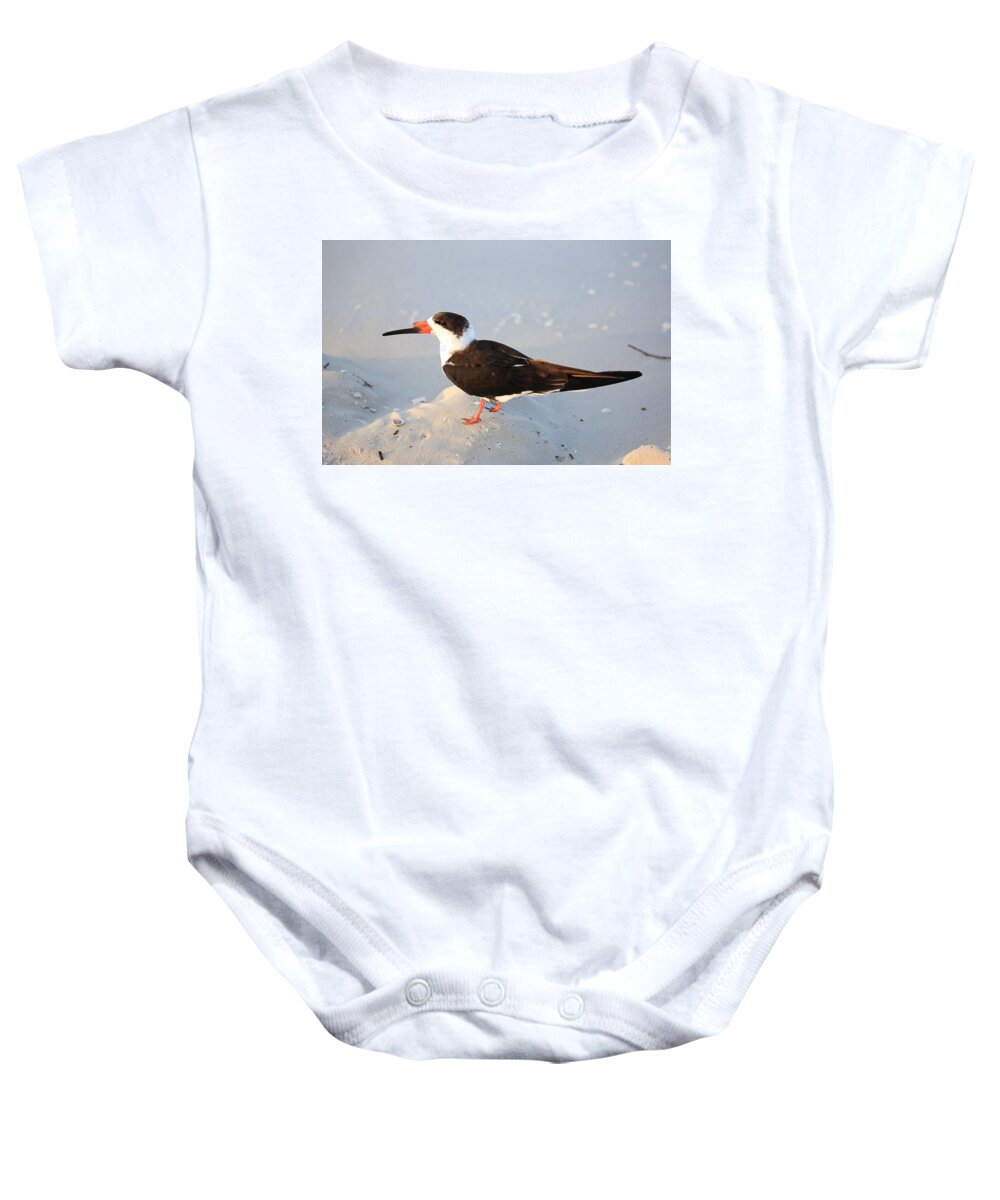 Black Skimmers Baby Onesie featuring the photograph Black Skimmer by Mingming Jiang
