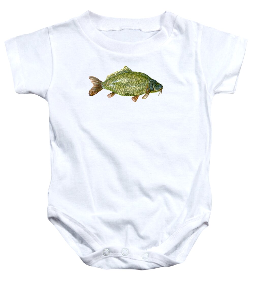 https://render.fineartamerica.com/images/rendered/default/t-shirt/35/30/images/artworkimages/medium/3/carp-fish-watercolor-frits-ahlefeldt-laurvig-transparent.png?targetx=0&targety=0&imagewidth=350&imageheight=186&modelwidth=350&modelheight=425