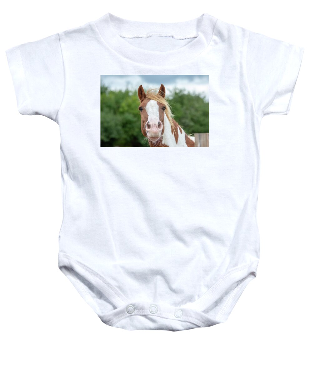 Horse Baby Onesie featuring the photograph Chestnut and White Horse Portrait by Gareth Parkes