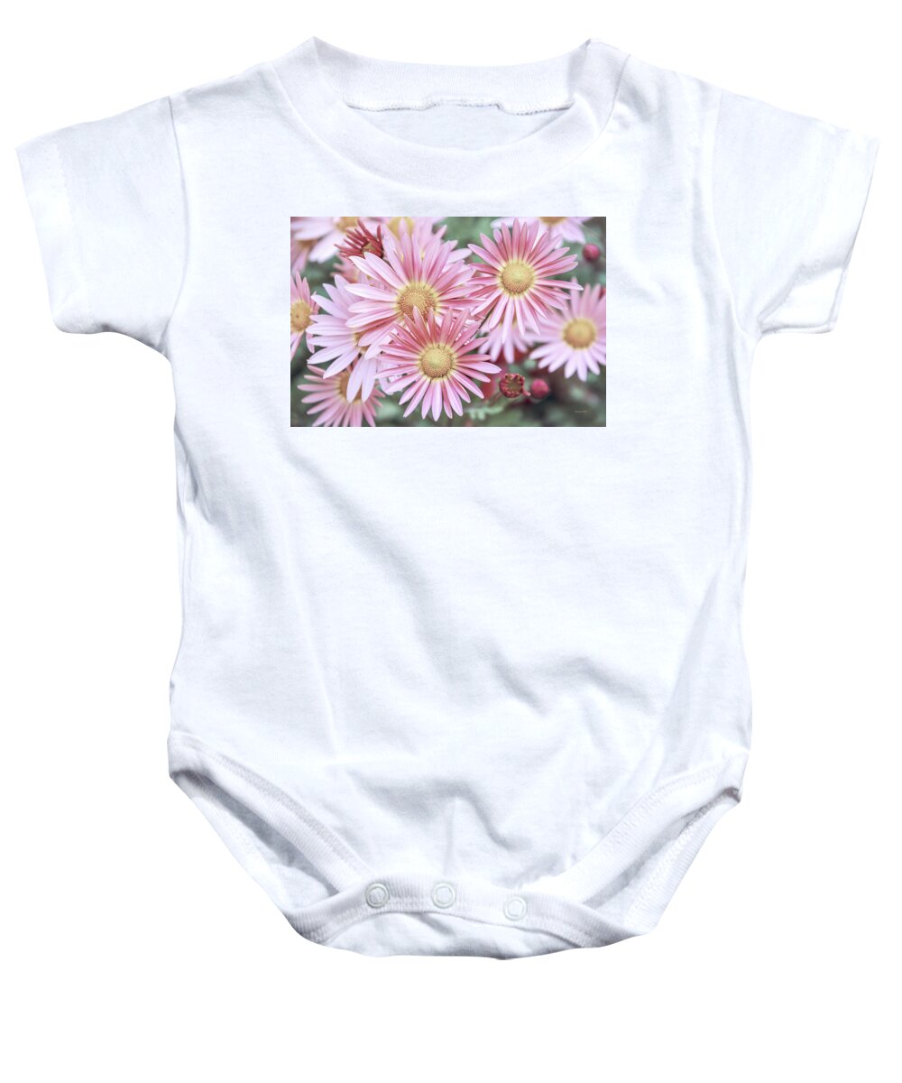 Flowers Baby Onesie featuring the photograph Chrysanthemum Flowers by Christina Rollo