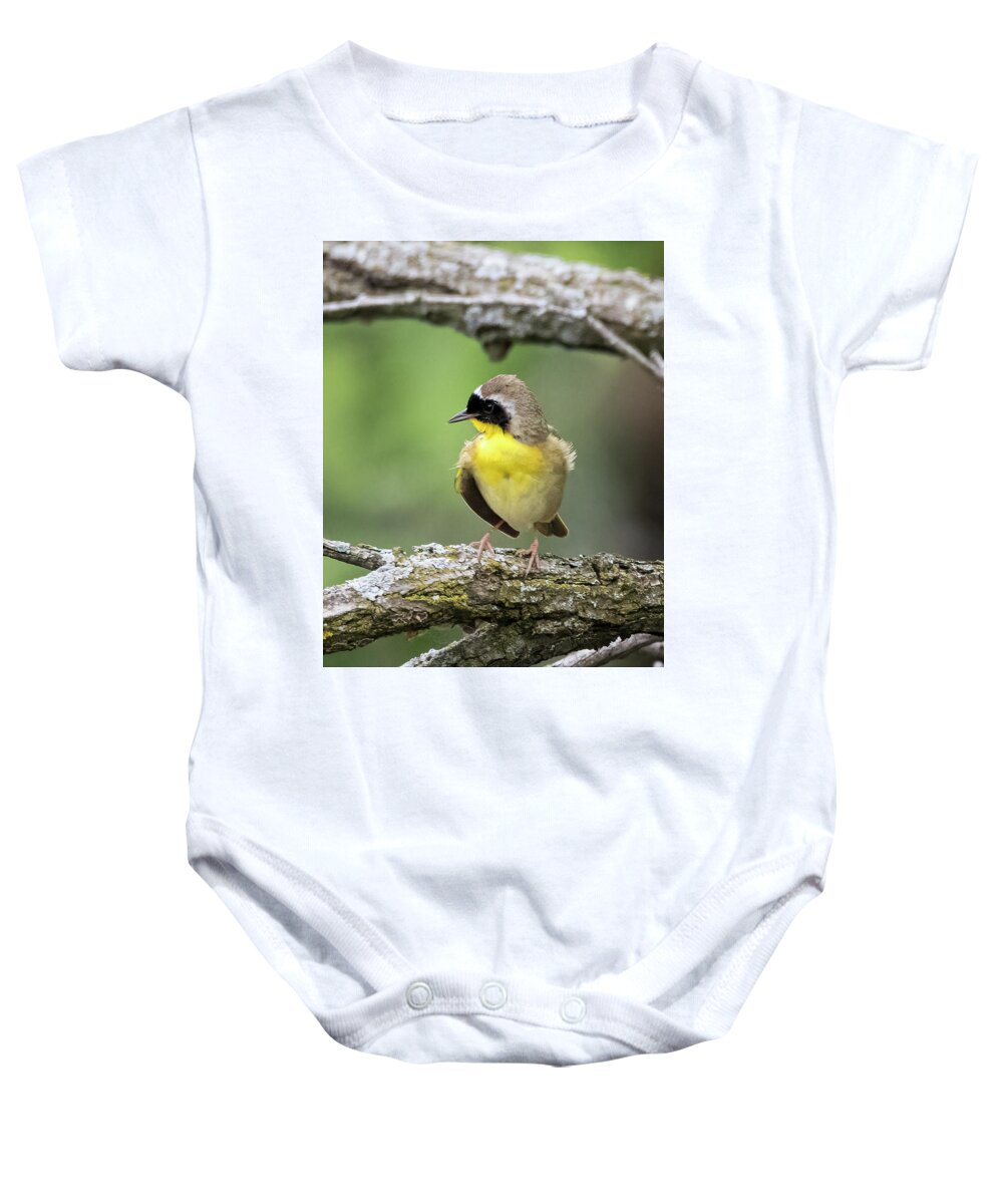Birds Baby Onesie featuring the photograph Common Yellowthroat by Ray Silva