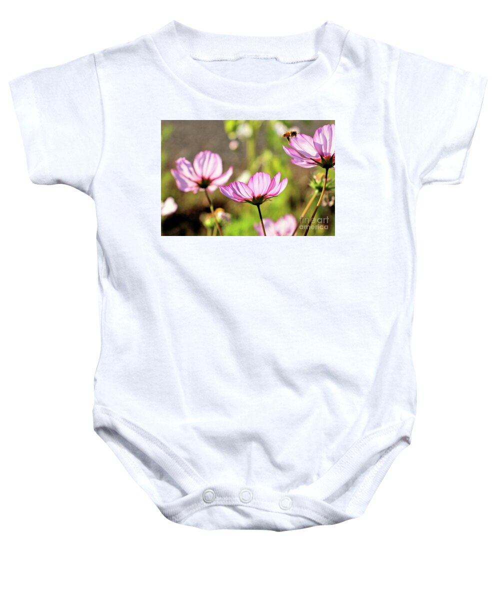 Cosmo Baby Onesie featuring the photograph Cosmos aka Mexican Aster by Vivian Krug Cotton