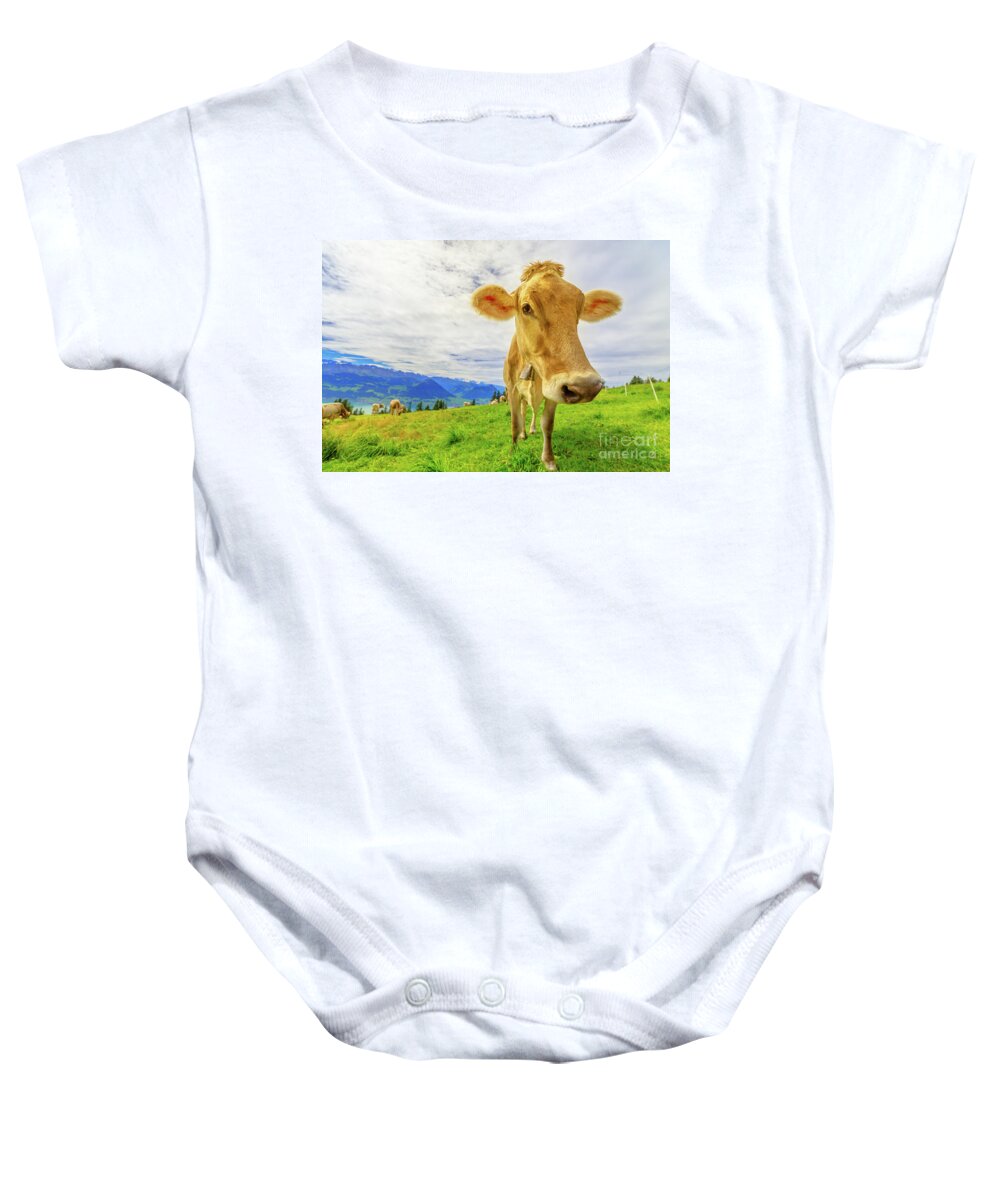 Cow Baby Onesie featuring the photograph Cow in Mount Rigi by Benny Marty