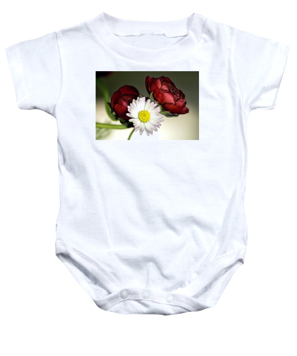 Flowers Baby Onesie featuring the photograph Daisy with Persian Buttercups 2 by Wolfgang Stocker