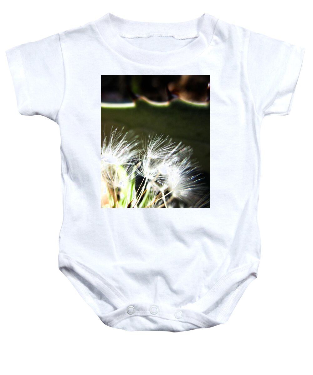Dandelion Baby Onesie featuring the photograph Dandelion and Agave by W Craig Photography