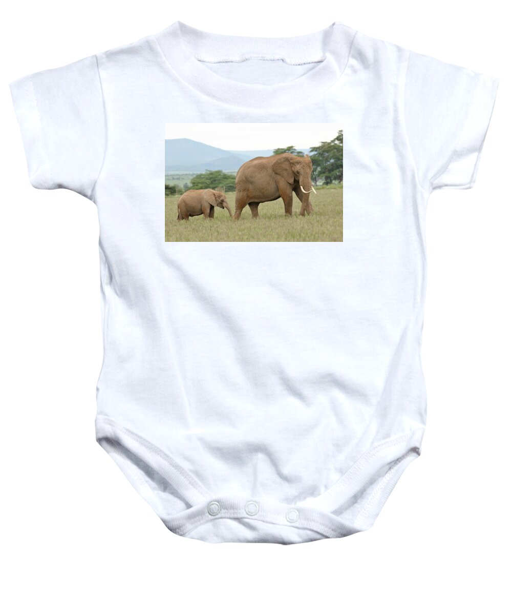 Africa Baby Onesie featuring the photograph Elephant and Calf At Amboseli by Steve Wolfe