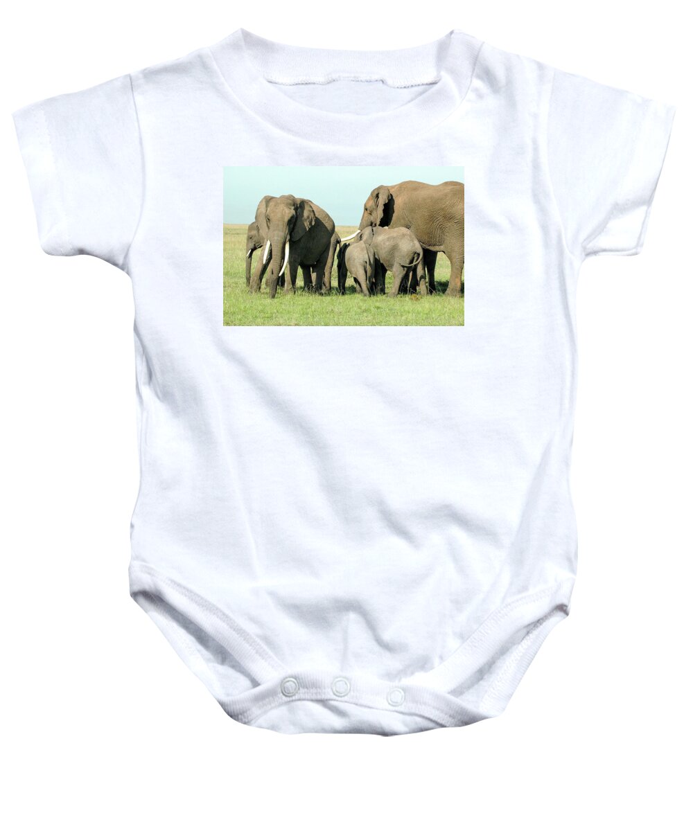 Elephant Baby Onesie featuring the photograph Elephant Family by Steve Templeton