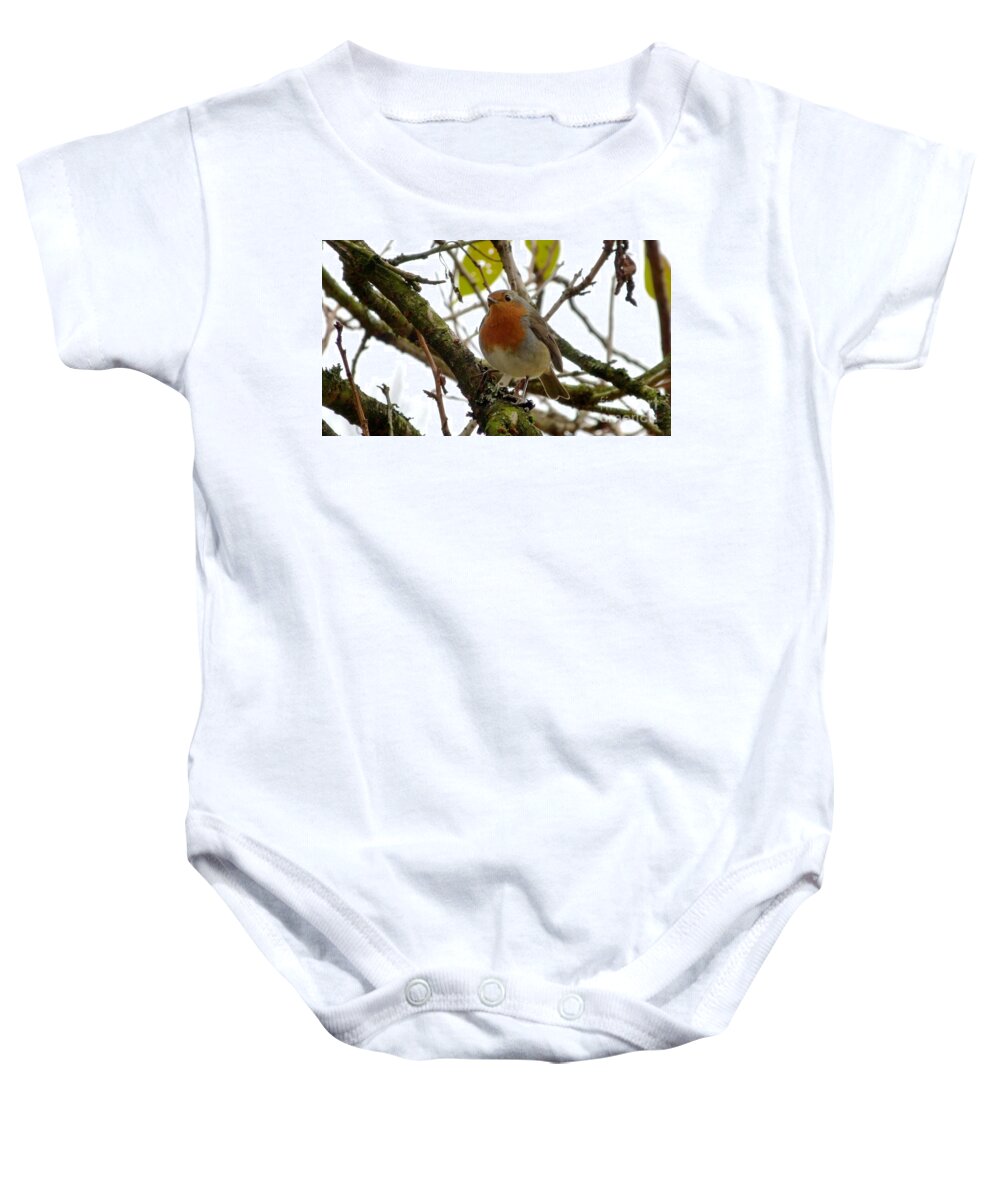 Bird Baby Onesie featuring the photograph European Robin At Autumn-time by Christopher Gill