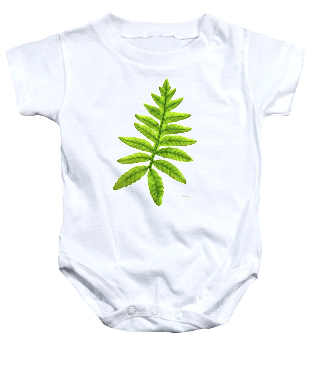 Fern Baby Onesie featuring the photograph Fern by Christina Rollo