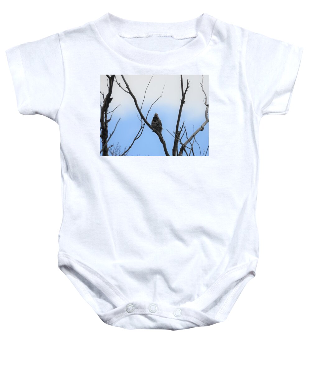 Northern Flicker Baby Onesie featuring the photograph Flicker by Amanda R Wright