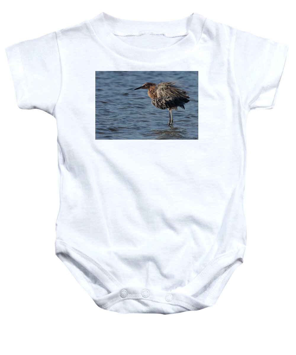Reddish Egret Baby Onesie featuring the photograph Fluffing by RD Allen