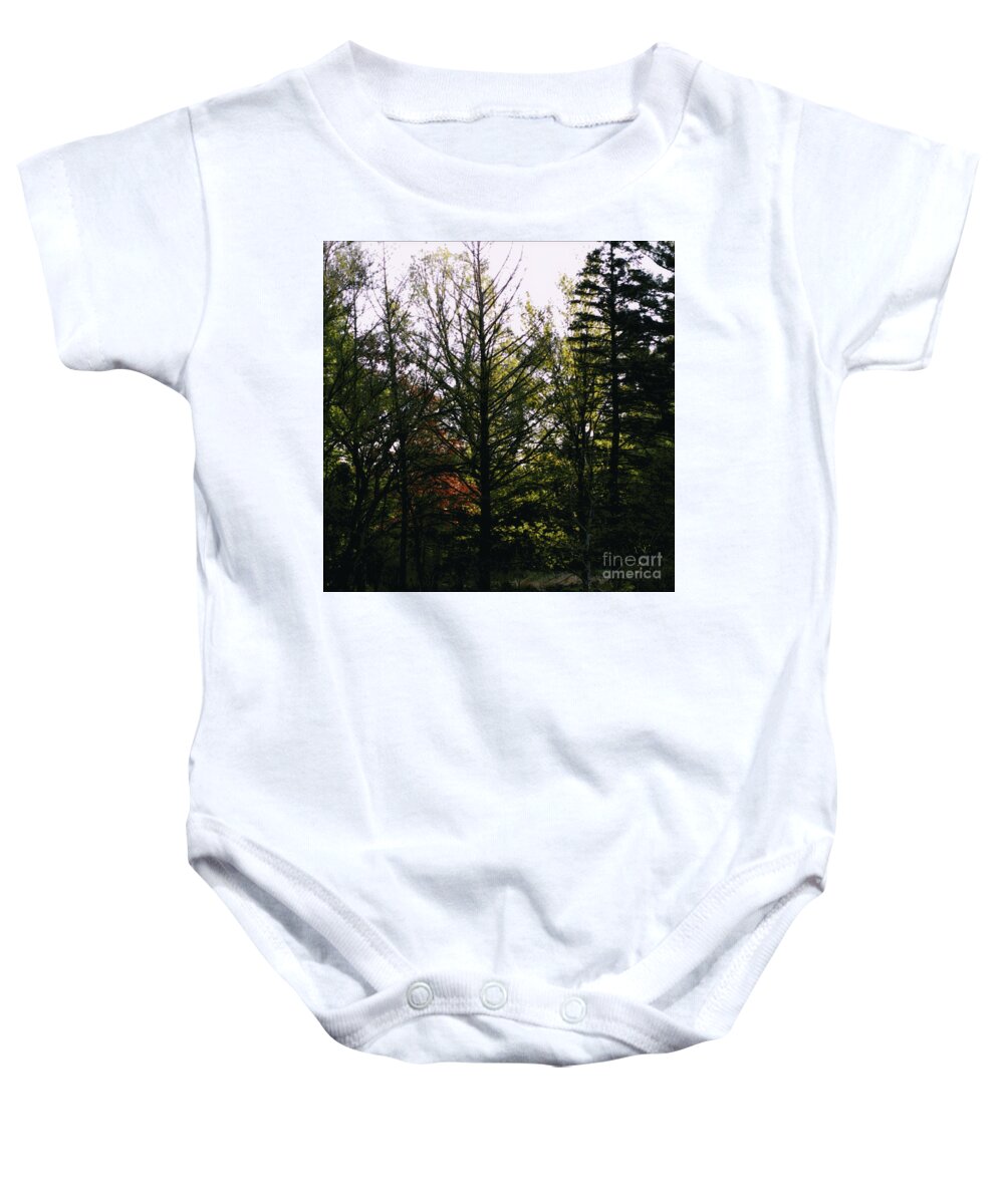 Landscape Baby Onesie featuring the photograph Forest Morning Light Impressionism by Frank J Casella