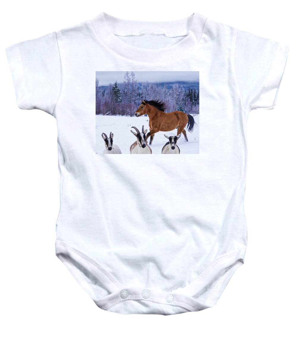 Winter Baby Onesie featuring the photograph Goat Theatre by Listen To Your Horse