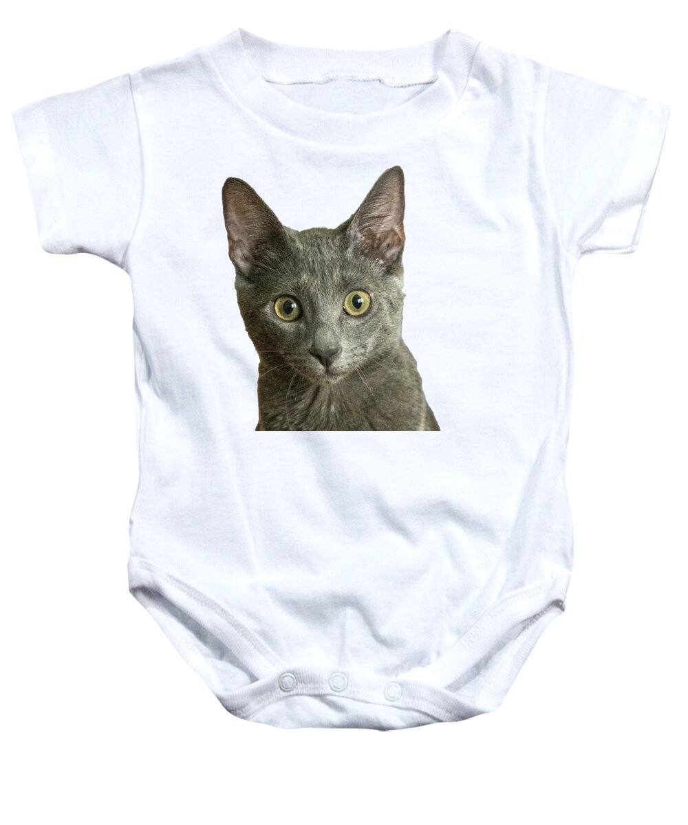 Cat Baby Onesie featuring the photograph Gray Cat by Dart Humeston