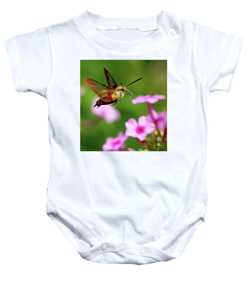 Moth Baby Onesie featuring the photograph Hummingbird Moth by William Jobes
