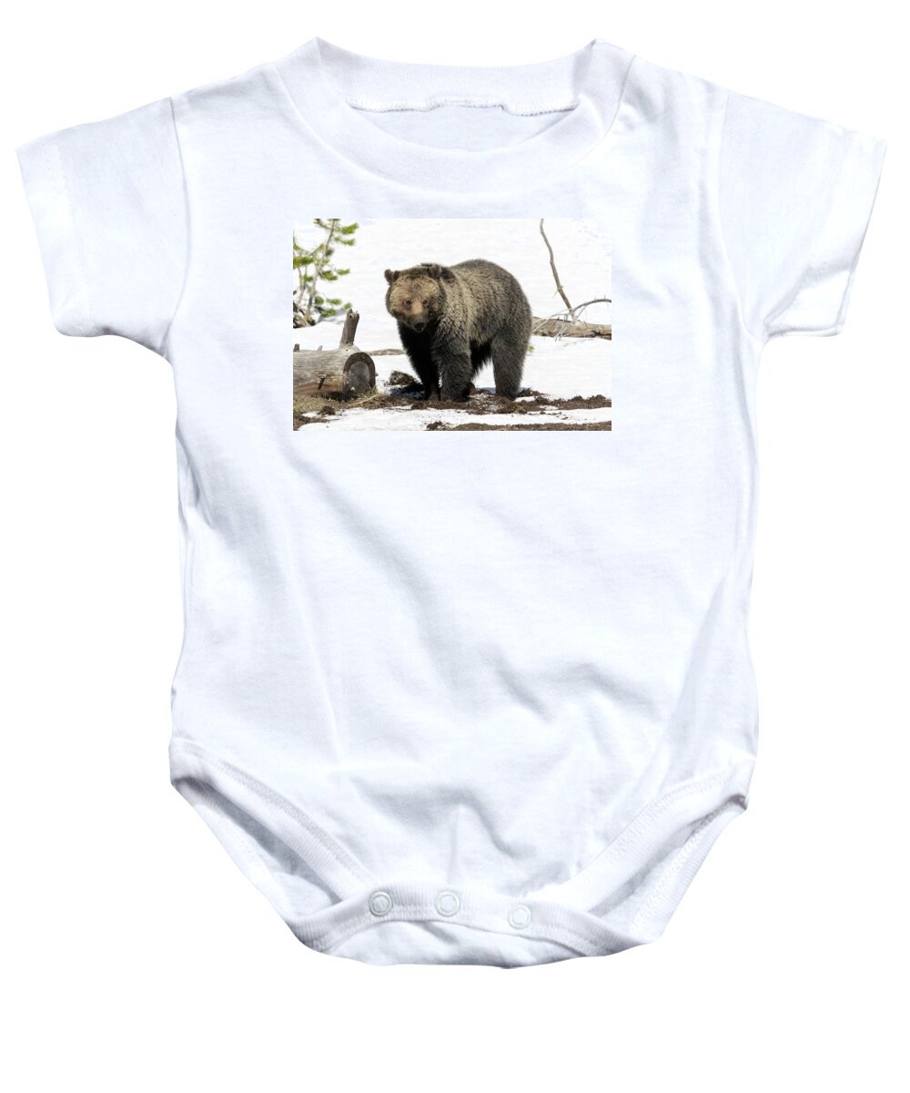 Grizzly Baby Onesie featuring the photograph I'm muddy by Ronnie And Frances Howard