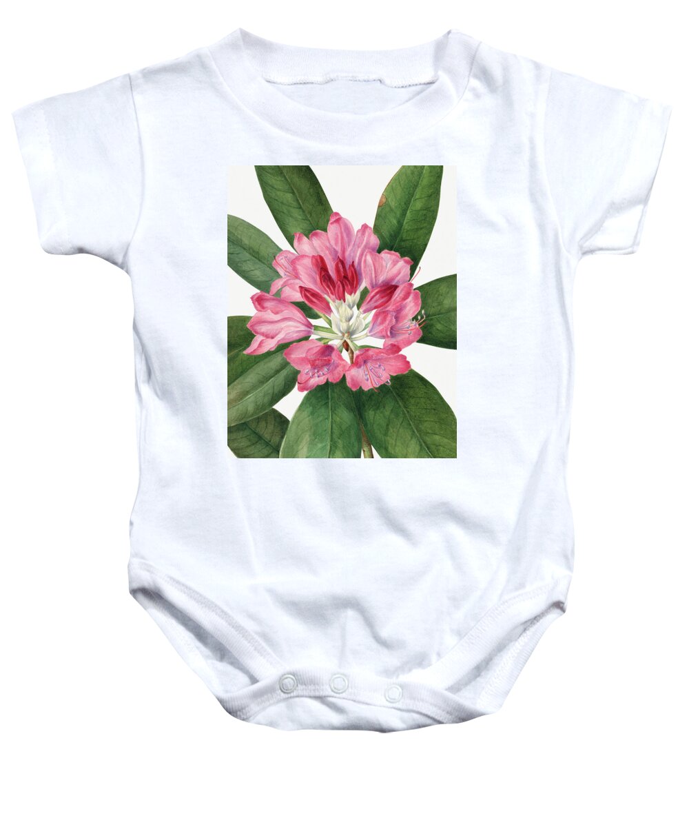 Rose Baby Onesie featuring the painting Mountain Rose Bay by Mary Vaux Walcott. by World Art Collective