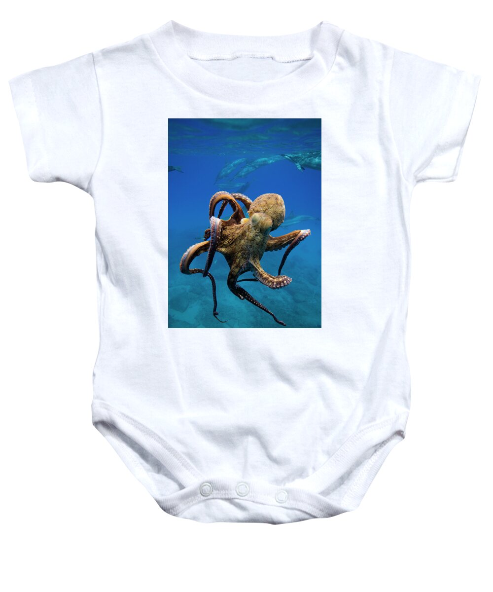 Octopus Baby Onesie featuring the photograph Octopus and Dolphin Frenzy by Krystal D