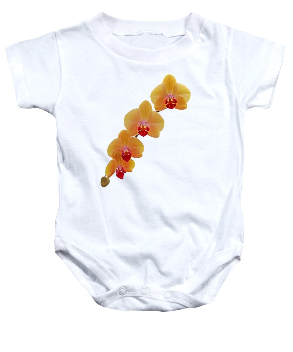 Orchid Baby Onesie featuring the photograph Orange Orchid Cascade on Black by Gill Billington