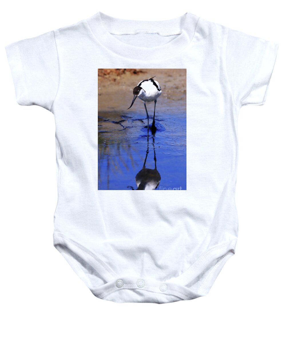 Avocet Baby Onesie featuring the photograph Pied avocet, Recurvirostra avosetta by Frederic Bourrigaud