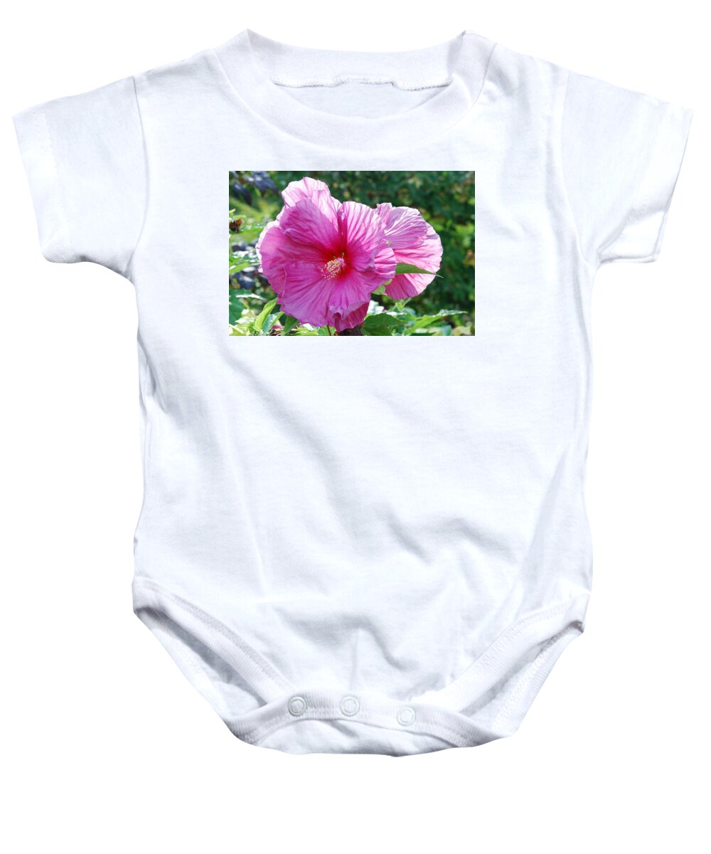 Pink Hibiscus Baby Onesie featuring the photograph Pink Spotlight Hibiscus by Ee Photography
