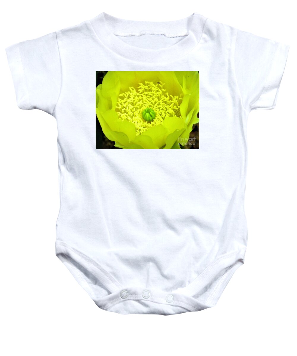 Plants Baby Onesie featuring the mixed media Prickly Pear by Emma Carter Brooks