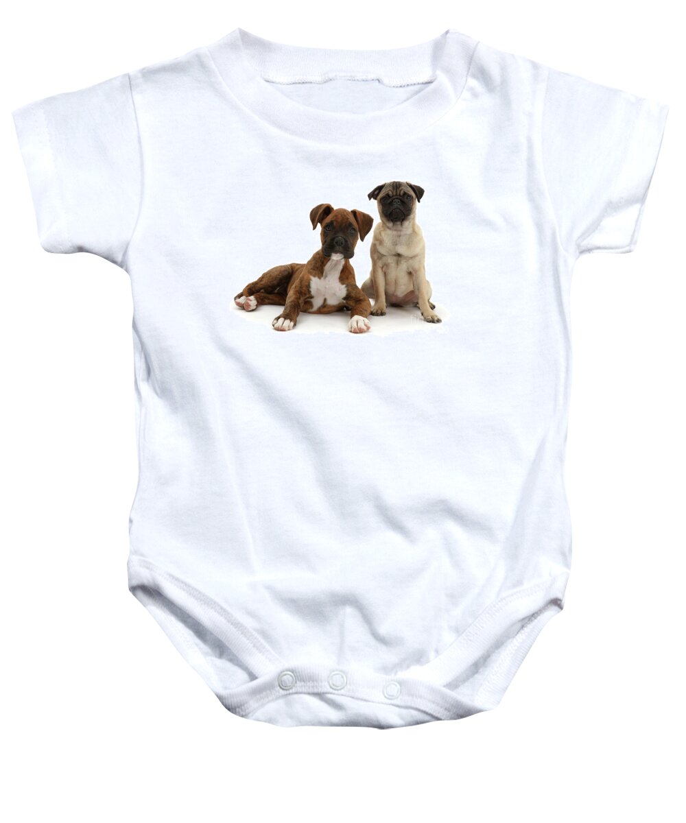Pug Baby Onesie featuring the photograph Pug puppy sitting with Boxer puppy by Warren Photographic
