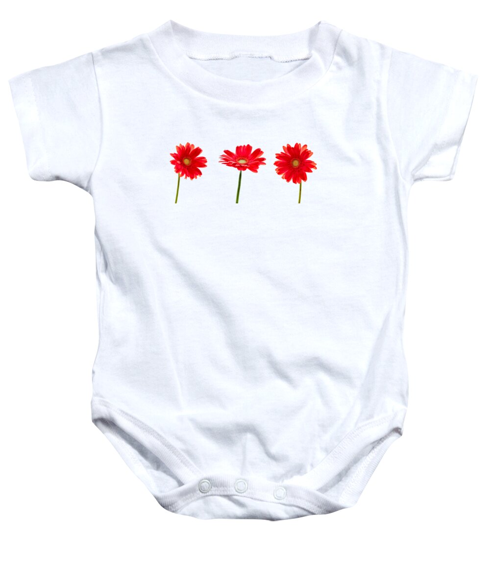 Gerbera Baby Onesie featuring the photograph Red gerbera flowers by Delphimages Photo Creations