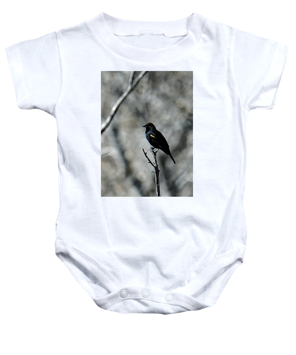 Usa Baby Onesie featuring the photograph Red Wing At Bosque by Jennifer Robin
