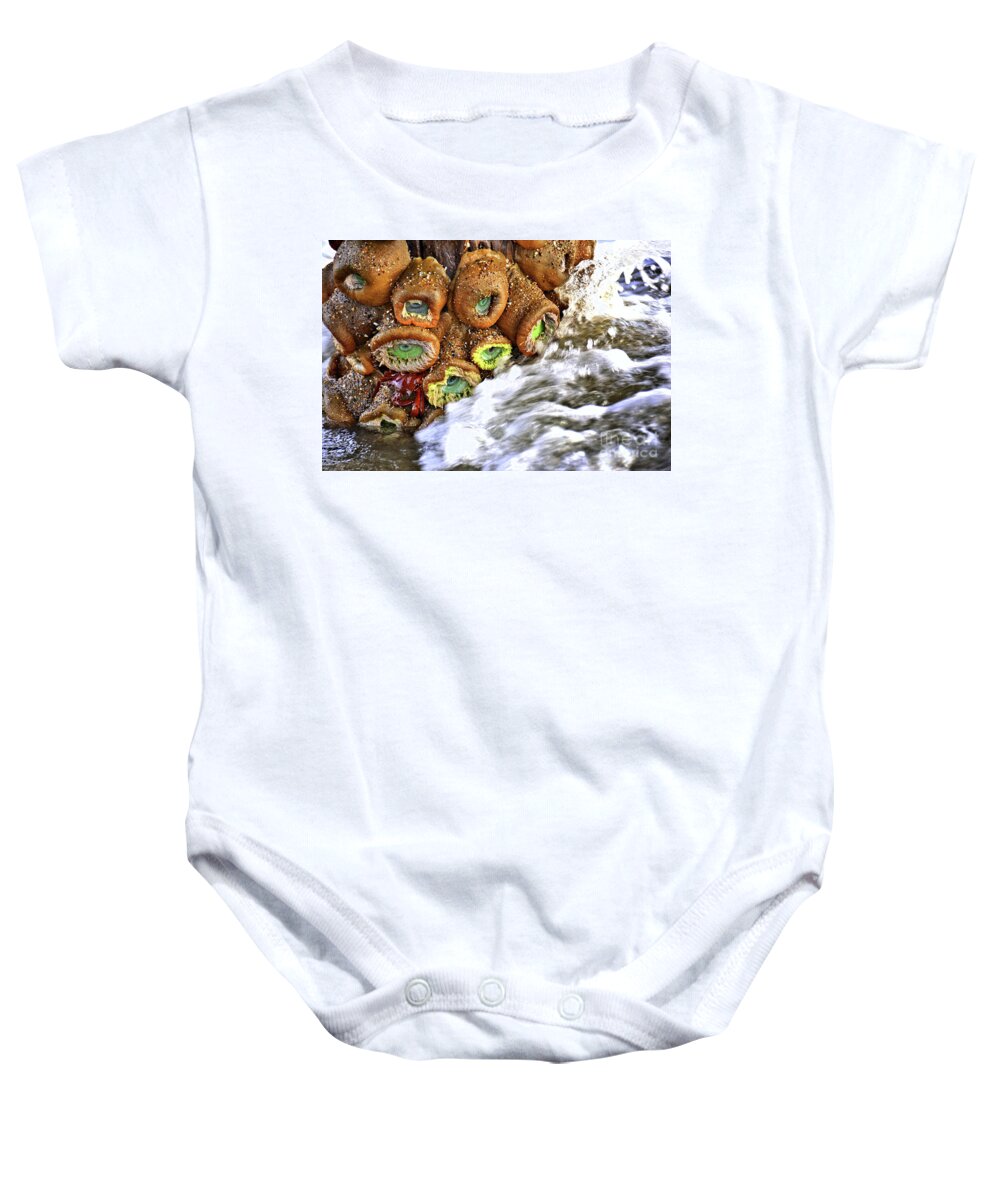 Sea Anemone Baby Onesie featuring the photograph Sea Anemone and Crab by Vivian Krug Cotton