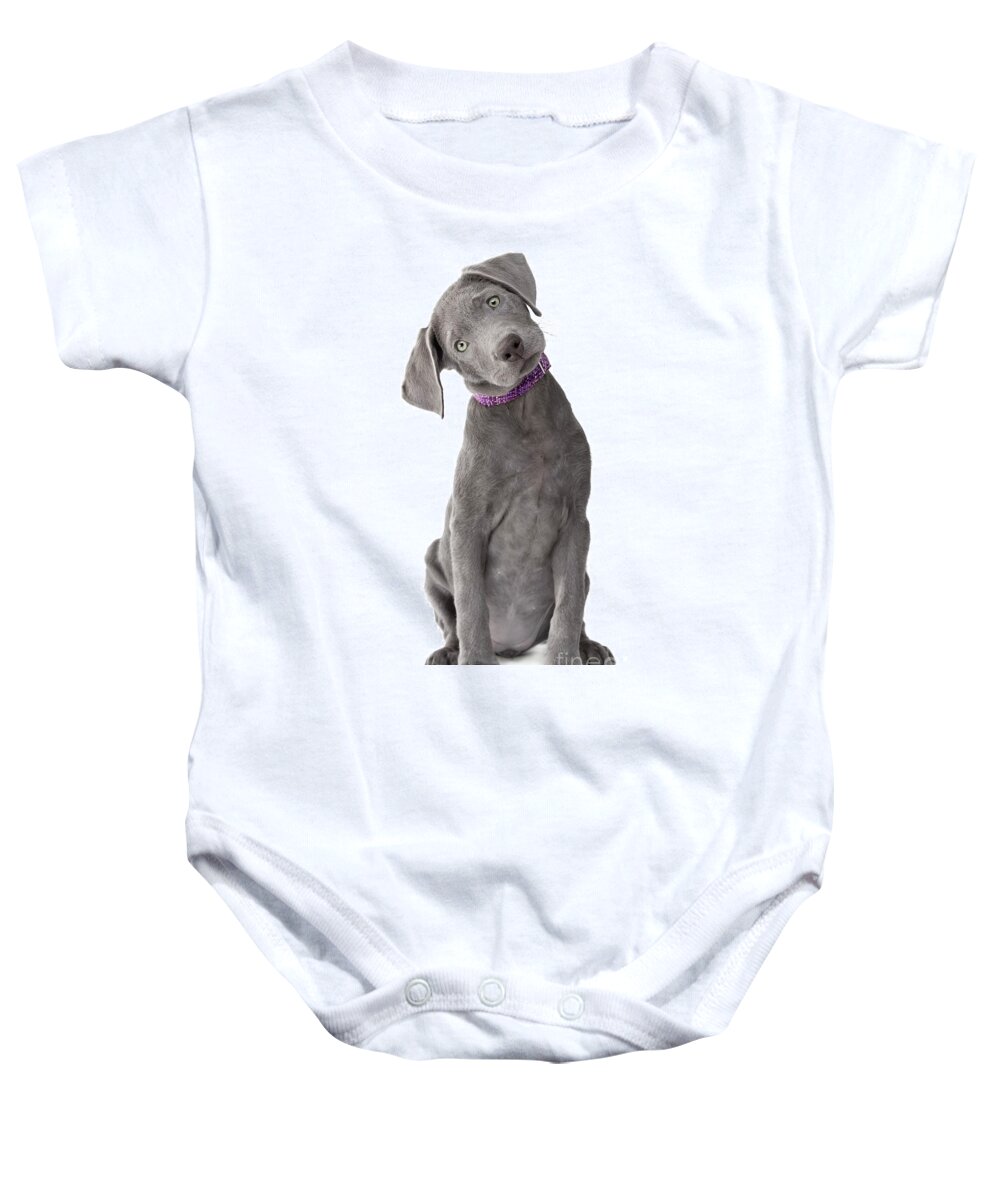 Dog Baby Onesie featuring the photograph Silver Lab Puppy Joy-Full Body by Renee Spade Photography