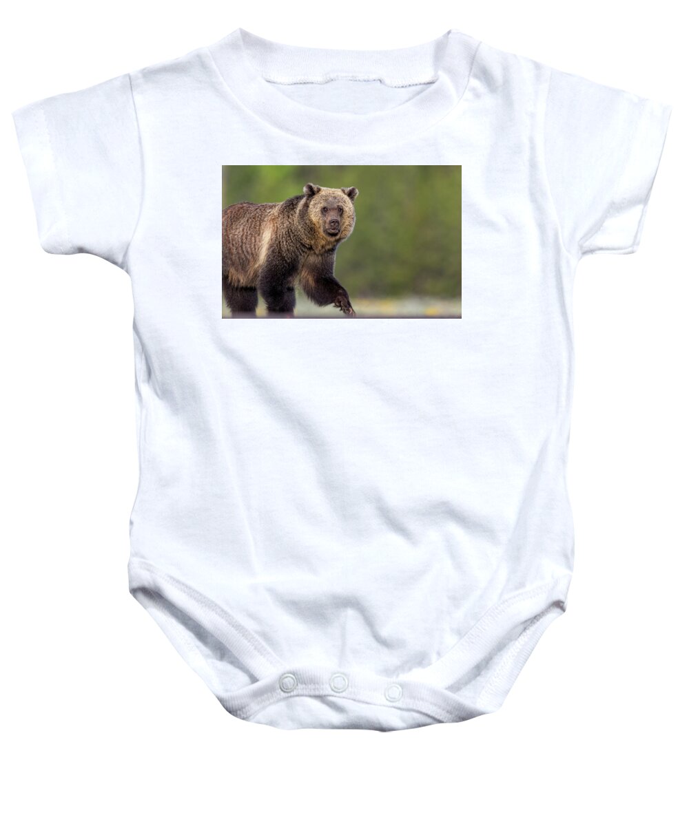  Baby Onesie featuring the photograph Spring Strut by Kevin Dietrich