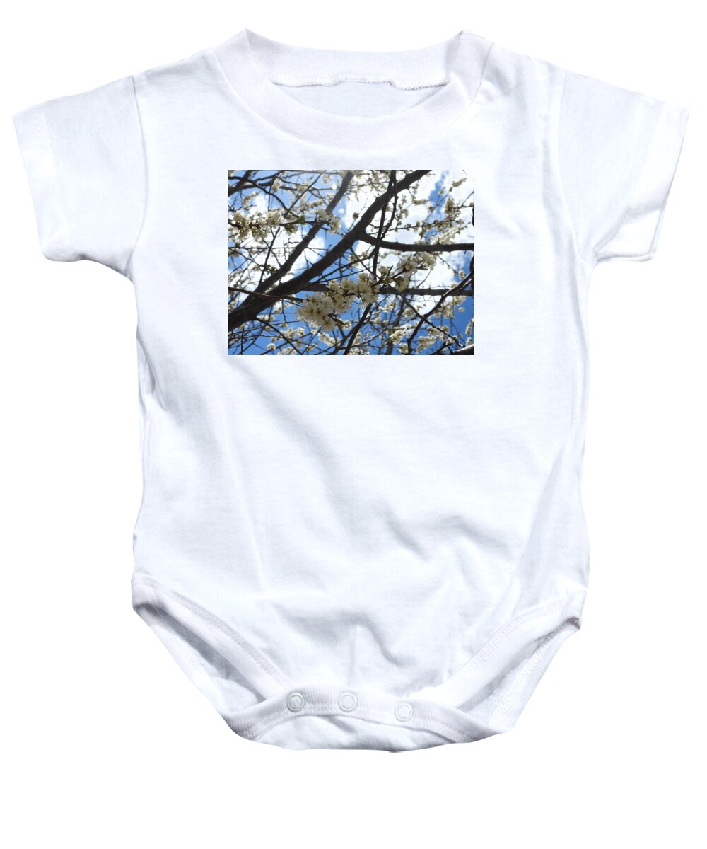 Spring Baby Onesie featuring the photograph Sunlit Blossoms by Amanda R Wright