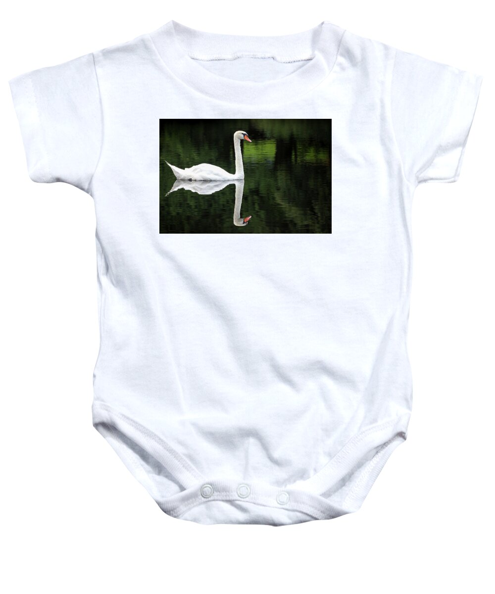 Petoskey Baby Onesie featuring the photograph Swan at Spring Lake by Robert Carter