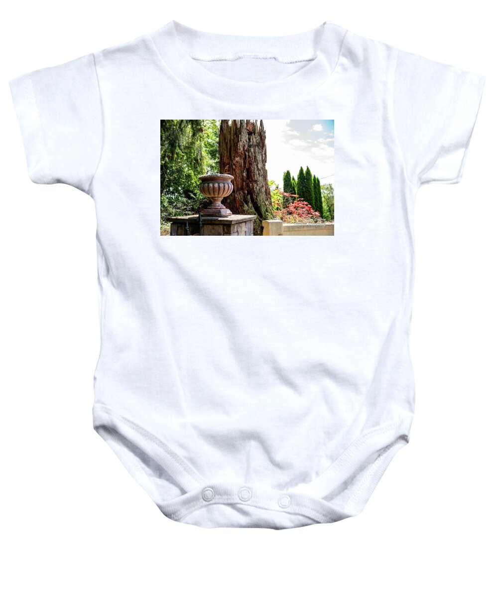 Tree Stump And Concrete Planter; Still Life; Contrast; Natural Art; Perspective; Balance; Mt. Vernon Baby Onesie featuring the photograph Tree Stump and Concrete Planter by Tom Cochran