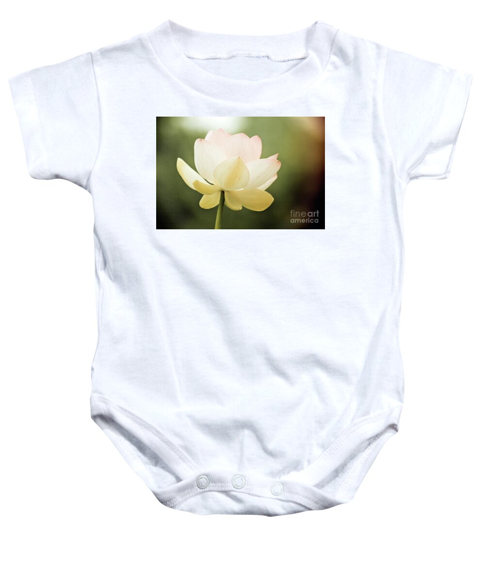 Lotus; Lotus Blossom; Water Lily; Water Lilies; Lily; Lilies; Flowers; Flower; Floral; Flora; White; White Water Lily; White Flowers; Green; Pink; Vintage; Simple; Decorative; Décor; Abstract; Close-up Baby Onesie featuring the photograph Vintage Lotus by Tina Uihlein