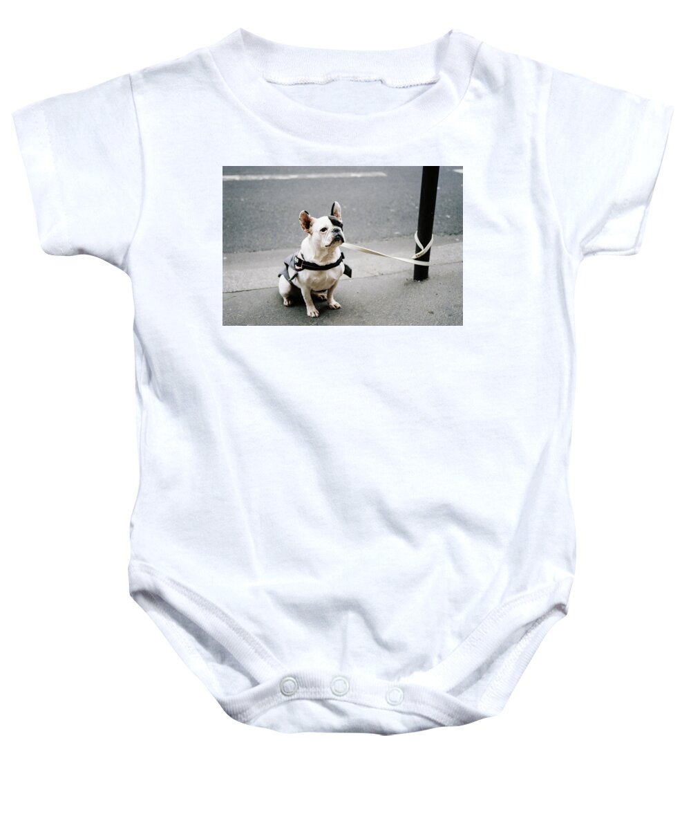 Dog Baby Onesie featuring the photograph Well Behaved Dog Waiting For Owner by Barthelemy De Mazenod