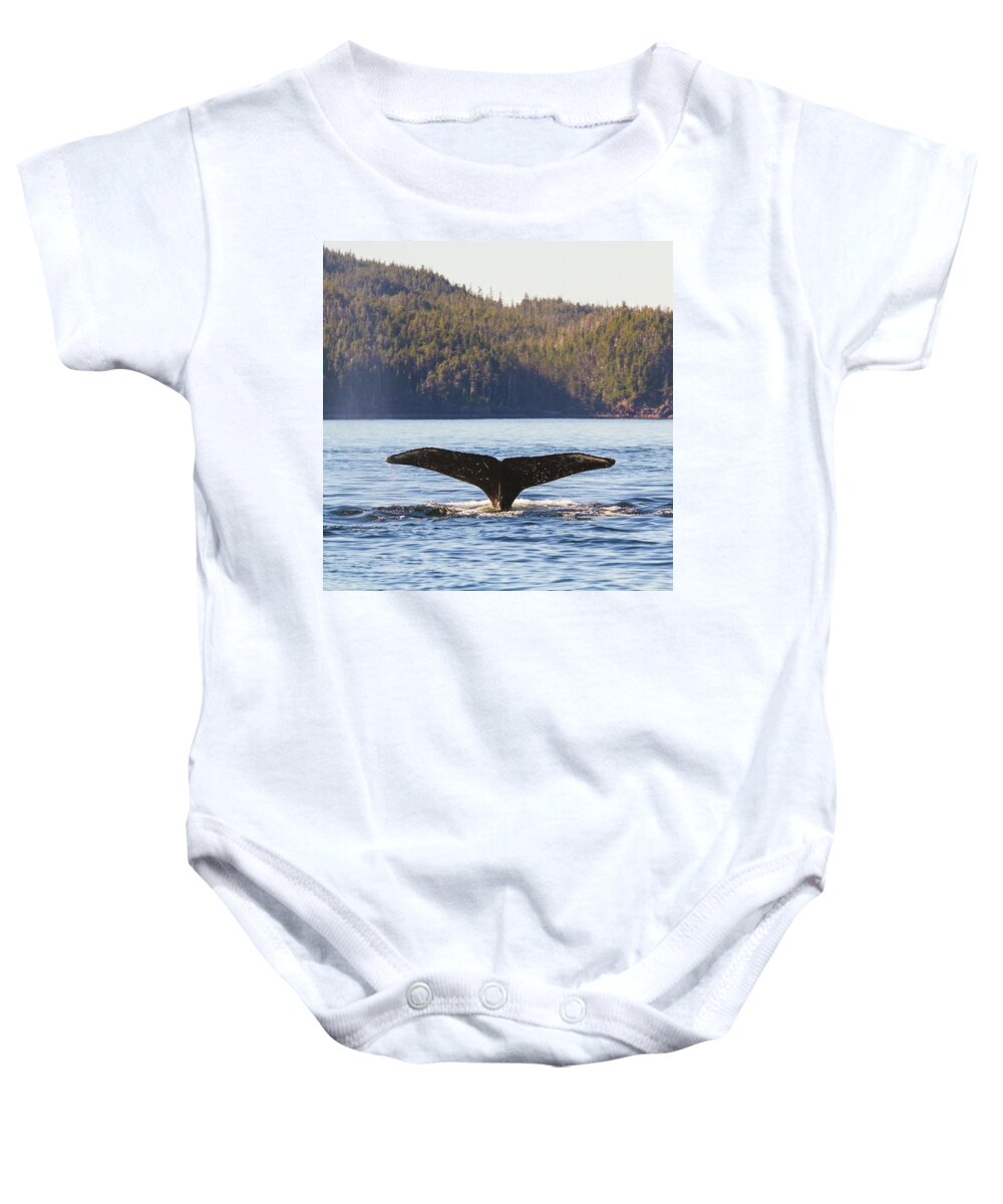 Whale Tale Baby Onesie featuring the photograph Whale Tale 3 by Michael Rauwolf