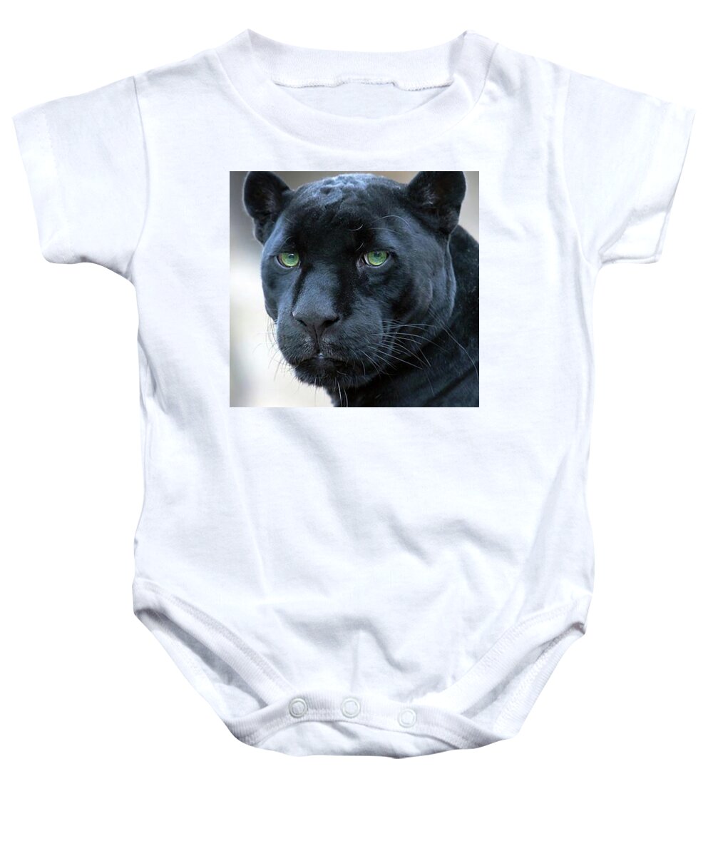Black Panter Baby Onesie featuring the photograph Wild Beasts by Zoran