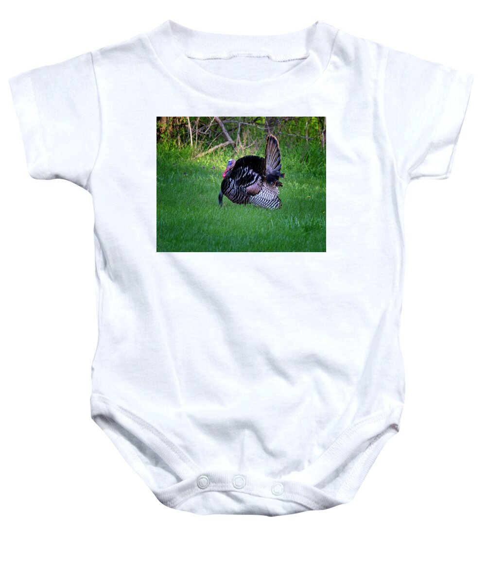 Wildlife Baby Onesie featuring the photograph Wild Turkey Gobbler displaying during mating season by Ronald Lutz