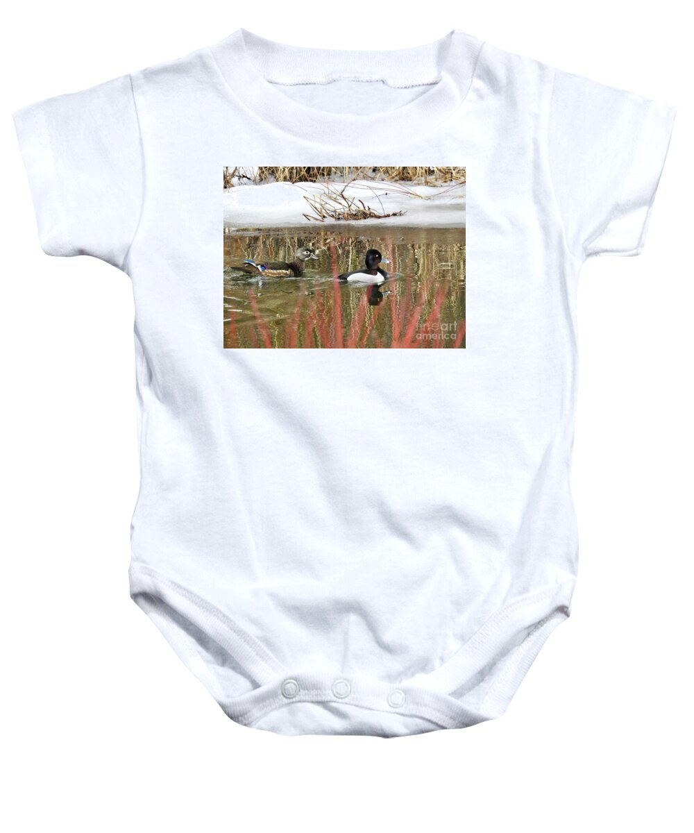 Ring Neck Duck Baby Onesie featuring the photograph Wood Duck and Ring Neck by Nicola Finch