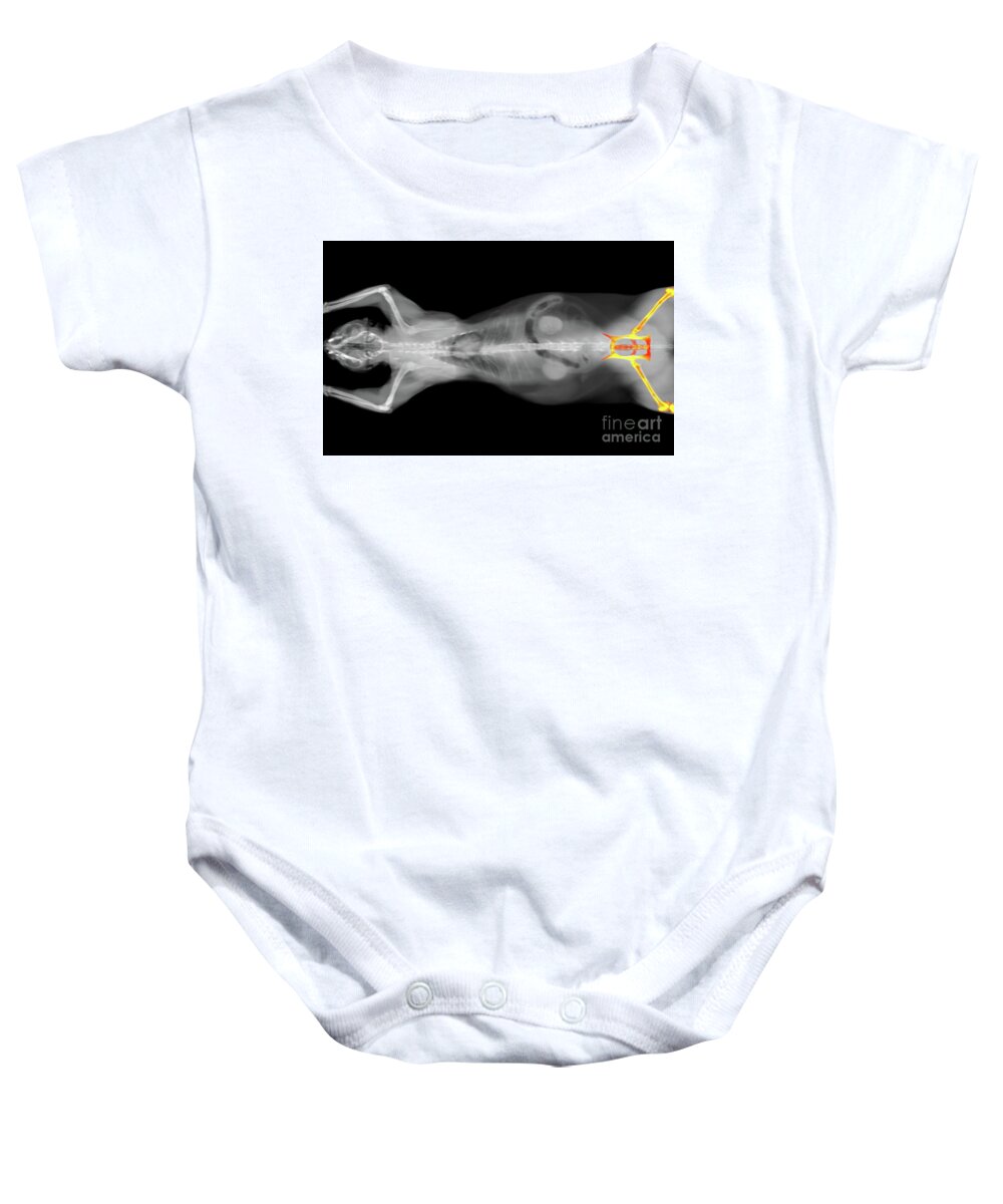 Ct Scan Baby Onesie featuring the photograph x ray CT scan of a cat hip bone by Benny Marty